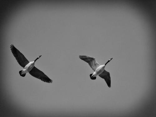 1 4 26-Yorkville-Downtown-River-1